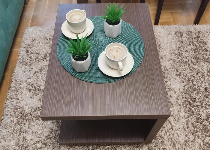 Stefan Vrnjačka Banja